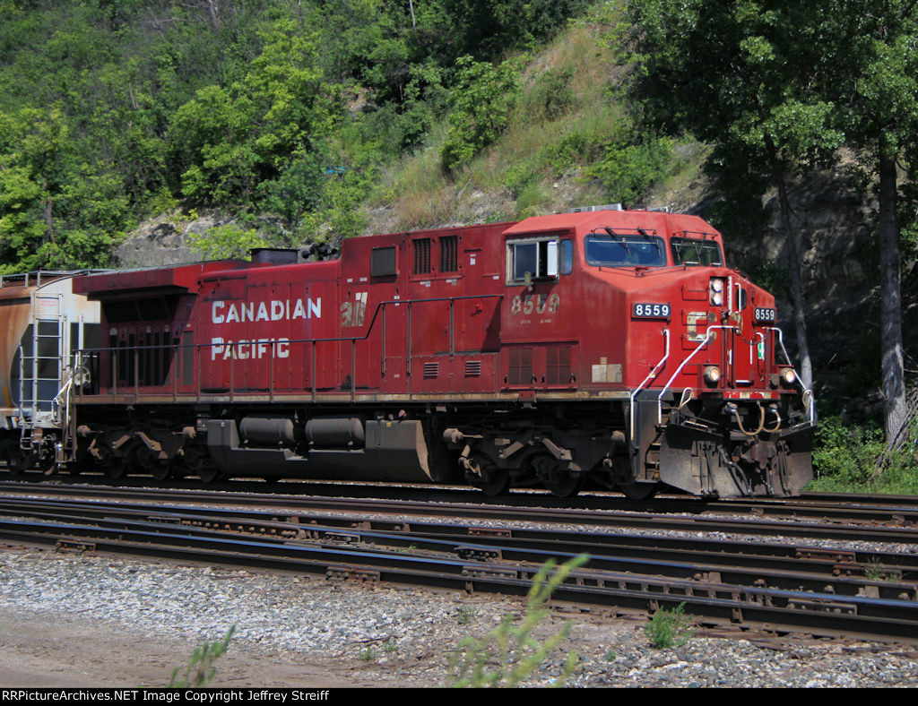 CP 8559